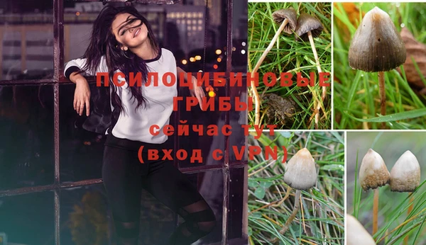 дмт Белоозёрский