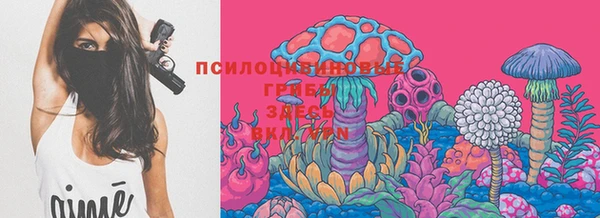 дмт Белоозёрский