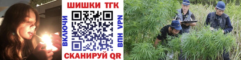 Бошки марихуана индика  наркотики  Менделеевск 